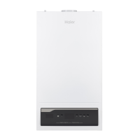 Газовый котёл  Haier ProLine S 2.35 ТiW